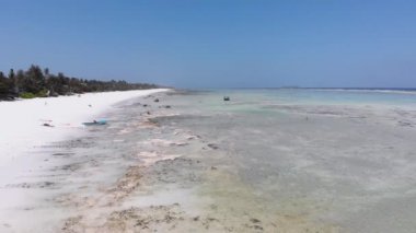 Ocean at Low Tide, Aerial View, Zanzibar, Shallows of Coral Reef, Matemwe Beach
