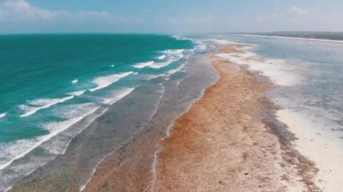 Ocean Coastline and Barrier Reef at Low Tide, Zanzibar, Matemwe, Aerial View