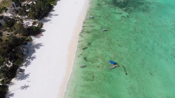 Ocean Coastline, Rafa Koralowa przy plaży Hotele przy odpływie, Zanzibar, Widok z lotu ptaka — Wideo stockowe