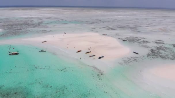 Homokpadok az óceán közepén Trópusi sziget Mnemba, Zanzibár Aerial View — Stock videók