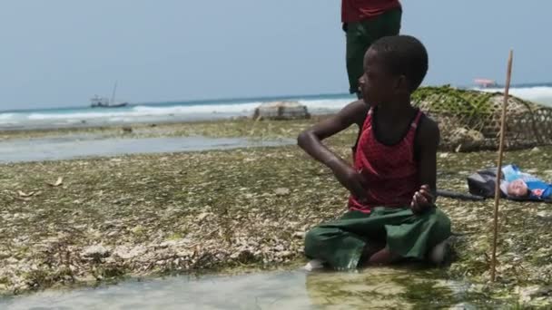 干潮時に海魚と遊ぶ海の浅瀬の地元のアフリカの少年たち — ストック動画