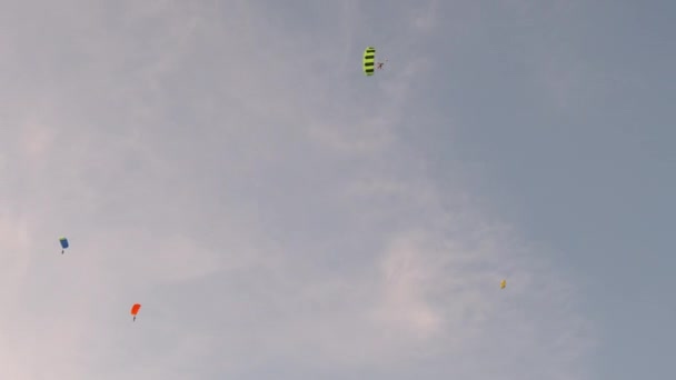 Paraquedistas profissionais voando no céu e terras no chão no campo — Vídeo de Stock