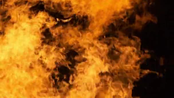 Fire Flames on a Black Background in Slow Motion, Bonfire Burning at Night — Stock Video