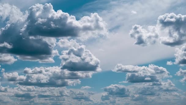 Nuvens de verão flutuam através do céu azul em forma de ônibus, Timelapse — Vídeo de Stock