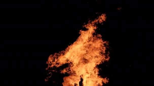 Big Bonfire Burns at Night in Slow Motion on a Black Background on Nature — Stock Video