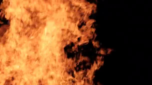 黒い背景の炎、夜のかがり火 — ストック動画