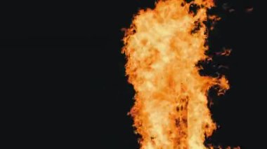 Şenlik Ateşi Gece Yanar Doğada Kara Arkaplanda