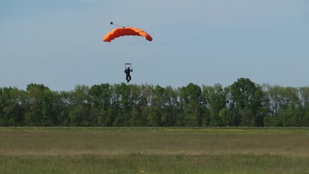 El vuelo paracaidista y las tierras sobre el terreno en el campo, el deporte extremo — Vídeo de stock