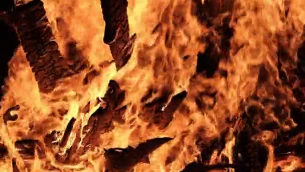 Big Bonfire Burns at Night in Slow Motion on a Black Background — Stock Video