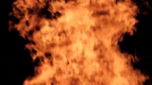 Chamas de fogo em um fundo preto, fogueira queimando à noite — Vídeo de Stock