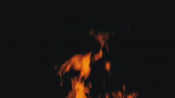 Fuoco fiamme su uno sfondo nero in slow motion, falò che brucia di notte — Video Stock
