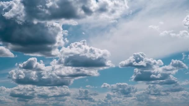 Letnie chmury unoszą się po błękitnym niebie w kształcie promów, Timelapse — Wideo stockowe
