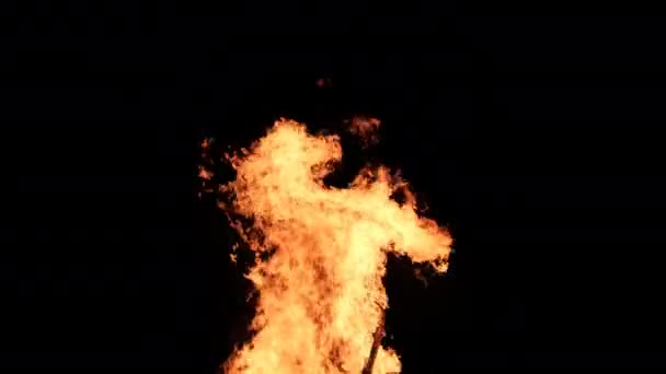 Fire Flames on a Black Background, Bonfire Burning at Night — Stock Video