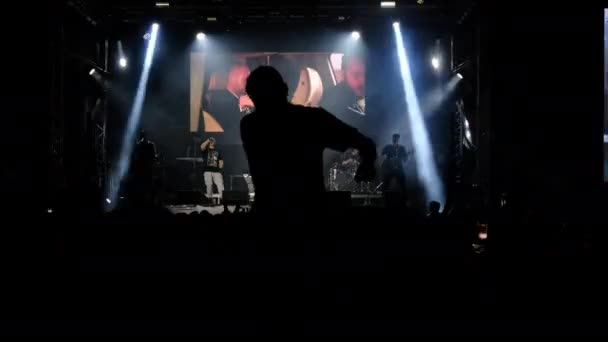 ロックコンサートの人たち、野外音楽祭で踊るファンの群れ — ストック動画
