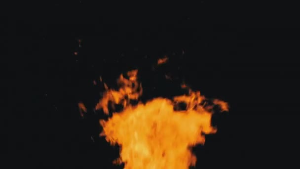 Огонь пылает на черном фоне в медленном движении, ночью разгорается костер — стоковое видео