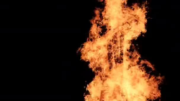 Big Bonfire Burns at Night in Slow Motion on a Black Background on Nature — Stock Video