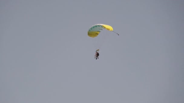 Парашютисты в Тандеме Летающие в небе и приземляющиеся на поле, экстремальный спорт — стоковое видео