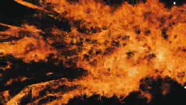 Un feu de joie vertical brûle la nuit sur un fond noir sur la nature — Video