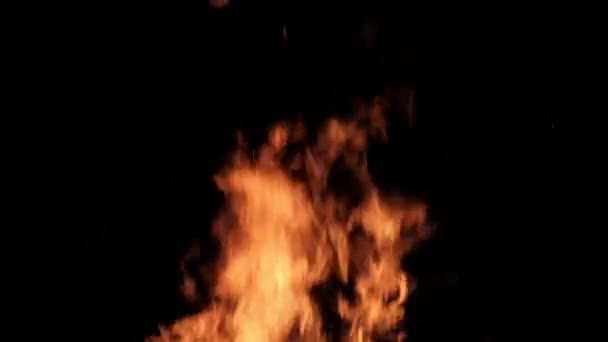 Chamas de fogo em um fundo preto em câmera lenta, fogueira queimando à noite — Vídeo de Stock