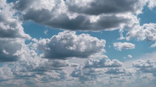 Las nubes de verano flotan a través del cielo azul en forma de lanzaderas, Timelapse — Vídeos de Stock