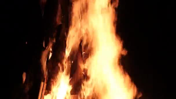 Wielkie ognisko pali się w nocy w zwolnionym tempie na czarnym tle natury — Wideo stockowe