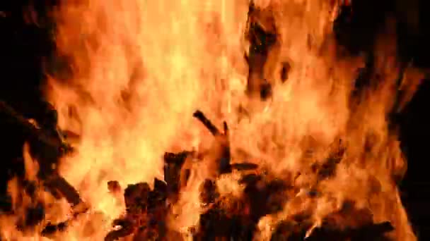 Big Bonfire Burns at Night on a Black Background — Stock Video