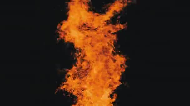 黑色背景上的火焰，夜间篝火燃烧 — 图库视频影像