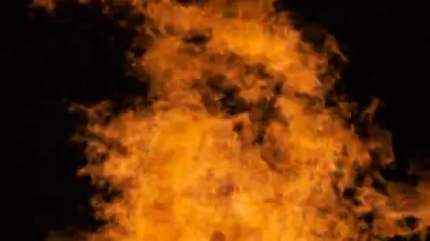 Пожежа на чорному тлі, пожежі вночі — стокове відео