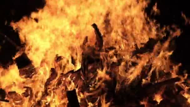 Big Bonfire Burns at Night in Slow Motion on a Black Background — Stock Video