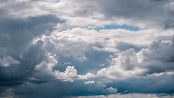 Timelapse av grå Cumulus Moln flyttar i blå Dramatic Sky, Cirrus Cloud Space — Stockvideo