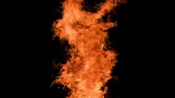 Ogień Płomienie na czarnym tle, Płonące ognisko w nocy — Wideo stockowe