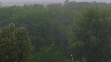 Yeşil Ağaçların Arkasında Şiddetli Yağmurlu Rüzgâr, Fırtına, Fırtına