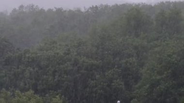 Yeşil Ağaçların Arkasında Şiddetli Yağmurlu Rüzgâr, Fırtına, Fırtına