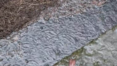 Yağmurlu bir günde Çamurlu bir su birikintisine düşen yağmur damlaları