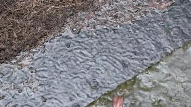 Dešťové kapky spadnou do bláta puddle během deštivého dne — Stock video