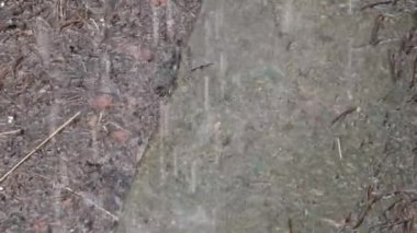 Yağmurlu bir günde Çamurlu bir su birikintisine düşen yağmur damlaları