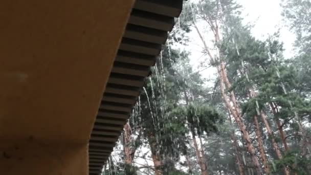 Gotas de agua de lluvia fluyen desde el techo y caen cerca del bosque de pinos cámara lenta — Vídeos de Stock