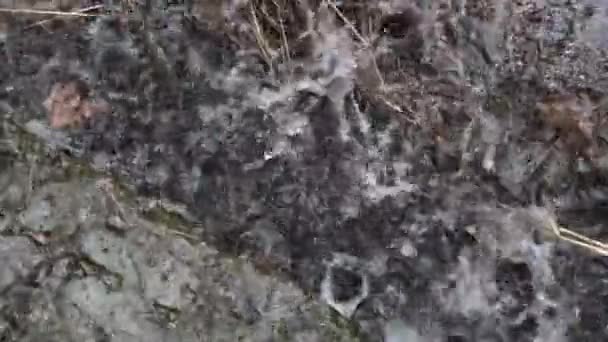 Las gotas de lluvia caen en un charco fangoso durante un día lluvioso — Vídeo de stock