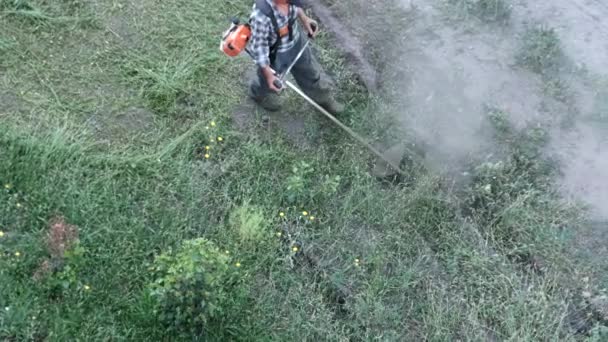 L'uomo falcia l'erba con un tosaerba manuale a benzina — Video Stock