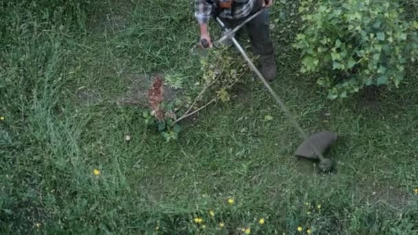 El hombre corta la hierba con un cortacésped manual de gasolina — Vídeos de Stock