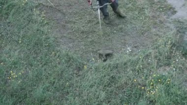 Adam, çimleri elle biçme makinesiyle biçiyor.