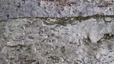 Yağmurlu bir günde Çamurlu bir su birikintisine düşen yağmur damlaları