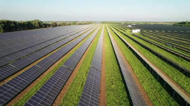 Aerial View of Solar Farm on the Green Field at Sunset Time, Panele słoneczne w rzędzie — Wideo stockowe