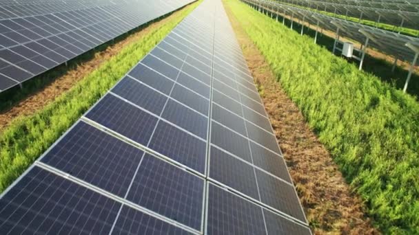 Vista aerea della fattoria solare sul campo verde al tramonto, Pannelli solari in fila — Video Stock