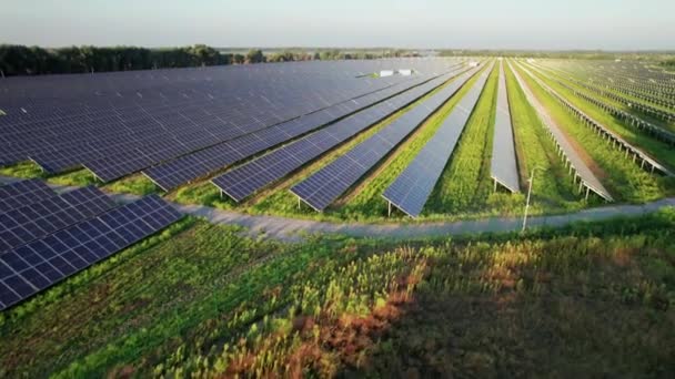 Vista aérea de la granja solar en el campo verde al atardecer, paneles solares en fila — Vídeo de stock