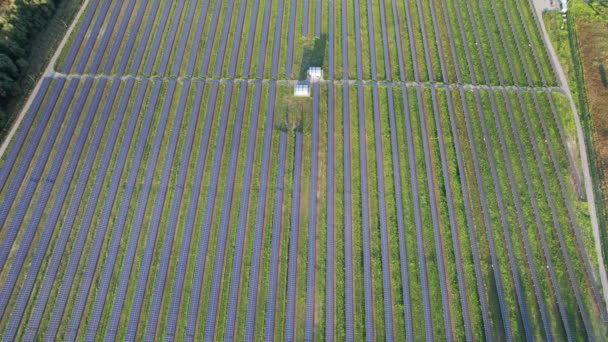 Αεροφωτογραφία του ηλιακού αγροκτήματος στο πράσινο πεδίο στο Sunset Time, Ηλιακά πάνελ στη σειρά — Αρχείο Βίντεο