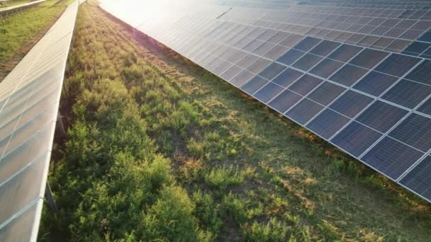 Zonne-energiecentrale op groen veld bij zonsondergang, zonnepanelen in rij — Stockvideo