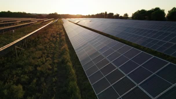 Luchtfoto van zonneboerderij op het groene veld bij zonsondergang, zonnepanelen in rij — Stockvideo