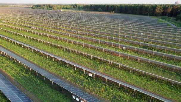 Napelemes gazdaság légi kilátása a zöld mezőn naplementekor, napelemek a sorban — Stock videók