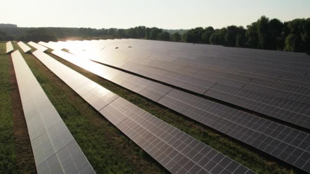 Letecký pohled Solární elektrárna na zelené pole při západu slunce, solární panely v řadě — Stock video